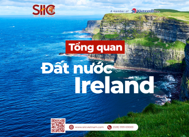 Tổng quan Ireland SIIC