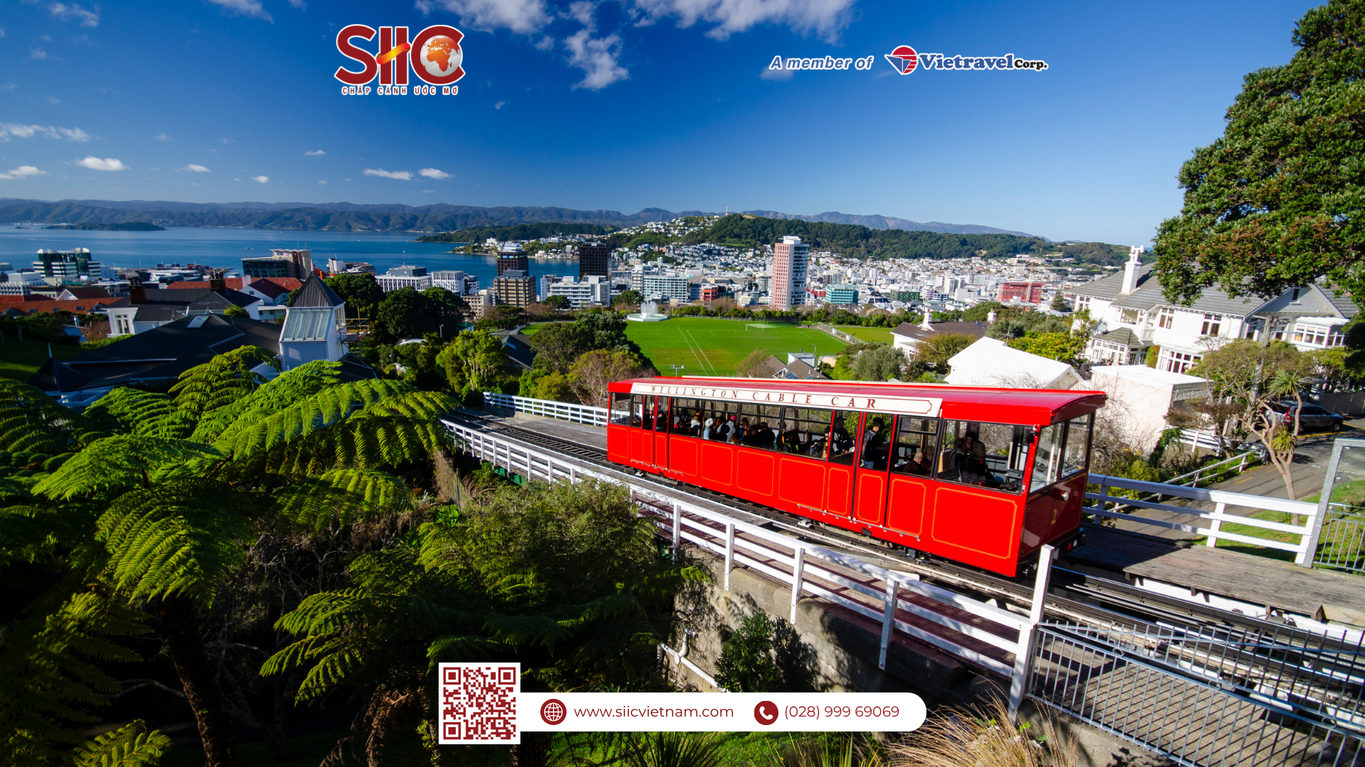 New Zealand thành phố